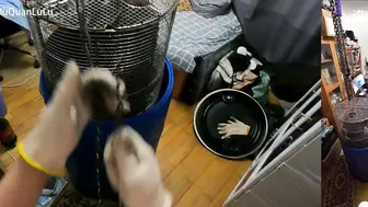 满月之夜 20 水桶封装2