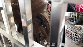 满月之夜水笼