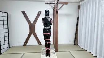 鹿角与猫爪 乳胶旗袍奴隶，上下洞全被填满，钢管拘束架罚站，金属镣铐并肘，尼龙紧固器绑带束腿，重型金属腰带束腰，前后上轮番刺激